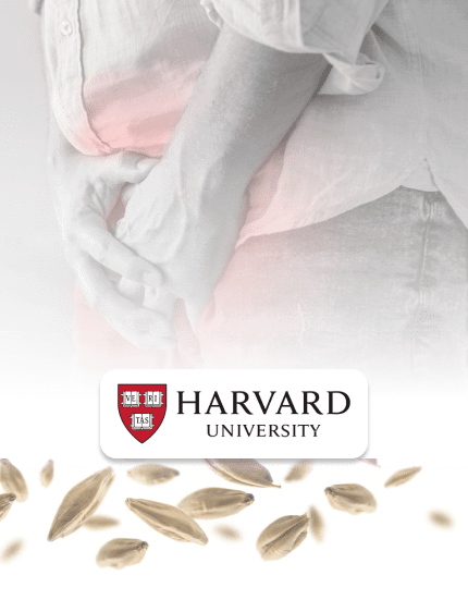 Harvard background